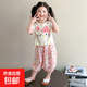 女童套裝夏季2025新款洋氣兒童衣服1-3短袖小女孩夏裝兩件套3-6歲 圖片色 薄款 100 cm