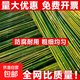 竹竿菜園搭架豆角黃瓜番茄爬藤架園藝籬笆圍欄旗桿葡萄架批發(fā) 50根【精選竹竿】 1.4-1.6厘米粗2米長(cháng)