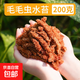 智利進(jìn)口毛毛蟲(chóng)水苔七星干苔蘚蝴蝶蘭花專(zhuān)用土基質(zhì)烏龜冬眠墊材 智利毛毛蟲(chóng)水苔200g
