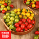 【超市品質(zhì)】三色水果小番茄青口蜜陽(yáng)光迷彩圣女果小柿子生吃減肥 3斤
