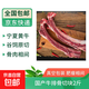 正宗寧夏黃牛肉 生鮮原切牛腱子金錢腱牛肉卷牛排牛尾骨批發(fā) 清真 原切牛肋排切塊2斤