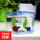 【京東配送】斗魚隔離盒亞克力獨立繁殖多功能觀賞魚缸外飼養(yǎng)孔雀 超白大號雙格斗魚盒-19*9*14