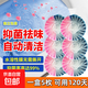 雙色卡紙裝馬桶清潔劑潔廁靈廁所除臭去異味留香潔廁寶清香型神器 5粒/板 雙色5枚