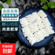 魷魚花 去皮去骨冷凍目魚卷鮮捕現(xiàn)切墨魚花 魚 燒烤火鍋食材 高品質(zhì)現(xiàn)切 魷魚花 4斤(凈重)