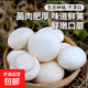 新鮮口蘑白蘑菇雙孢菇蘑菇原生態(tài)食用菌菇火鍋燒烤煲湯蔬菜 新鮮口蘑 1000g