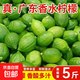 廣東香水檸檬新鮮檸檬茶生鮮鮮檸奶茶店專用檸檬水果產(chǎn)地源頭直發(fā) 【帶箱5斤】香水檸檬(單果65g+)