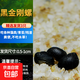 黃金螺淡水觀賞螺活體清潔螺除藻清苔工具螺蘋果螺不加溫吃魚龜便 黑金剛螺3個 0.5-1cm