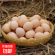 小蛋佳新鮮農家雞蛋40-45克生鮮溏心蛋水煮蛋早餐超市包郵 40枚