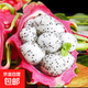 進(jìn)口白心火龍果國產(chǎn)新鮮水果孕婦水果現摘現發(fā)酸甜多汁 帶箱3斤 單果400g起