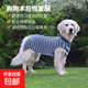 狗術(shù)后服手術(shù)恢復(fù)服絕育服防舔防騷擾衣服 藍白條紋 L