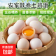 京喜加農(nóng)家新鮮散養(yǎng)雞蛋單枚40g正負(fù)5g谷飼蛋初生蛋溏心蛋早餐生鮮買菜 10枚