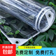 透明防水防雨布加厚PVC篷布陽(yáng)臺遮雨擋雨塑料布防曬遮陽(yáng)油布帆布 300克0.35毫米厚六道線(xiàn)款 3x5m送繩子