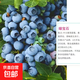 大果藍莓樹(shù)苗盆栽地栽果樹(shù)苗藍莓南北方種植陽(yáng)臺庭院種植當年結果 綠寶石【全國適宜】原盆+肥料 【8.5年苗】 1年結果 果量超多