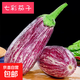云南新鮮七彩茄子花茄子現摘茄子水果生鮮時(shí)令新鮮蔬菜脆皮茄子 七彩茄子 2斤