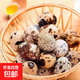 農場(chǎng)直發(fā)雜糧喂養生鮮鵪鶉蛋新鮮鳥(niǎo)蛋寶寶食品超市早餐整箱批發(fā) 35枚實(shí)惠裝