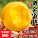蒙陰黃桃【地標(biāo)認(rèn)證】毛桃脆甜水蜜桃子時令新鮮水果單果100g+ 5斤精選裝丨泡沫托丨凈重4.5斤