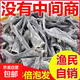 干海帶頭霞浦海帶特產(chǎn)日曬干貨批發(fā)特厚昆布厚實涼拌燉湯久誠 【精選沖量】海帶短頭50g*5袋