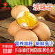 莘吉緣活珠子雞蛋胚胎麻辣毛蛋13天新鮮鋼化蛋五香新鮮即食生鮮 活珠子6枚五香味