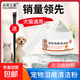 淚痕粉比熊狗狗貓咪通用淚腺淚痕消除寵物專(zhuān)用眼部清潔神器 【寵物淚痕粉70g】+送粉刷