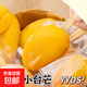 冰鮮小臺(tái)芒新鮮現(xiàn)摘去皮小臺(tái)芒一整支冷凍冰淇淋雪糕孕婦兒童零食 20支*55g【冰鮮小臺(tái)芒】