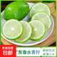廣東香水檸檬生鮮水果一級果無籽香檸青檸現(xiàn)摘現(xiàn)發(fā)帶箱發(fā)貨包郵 【3個】單果65g+嘗鮮裝