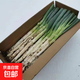 正宗山東鐵桿大蔥 新鮮甜蔥特級 新鮮蔬菜蔥蘸醬 帶皮精選大蔥 山東鐵桿大蔥 5斤 【帶皮去半葉】
