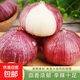 京喜自營(yíng)云南蒜獨(dú)頭蒜調(diào)料京東買(mǎi)菜蔬菜新鮮獨(dú)頭蒜 【精選】獨(dú)頭蒜（單果2CM-） 3斤 毛重