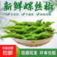 新鮮現(xiàn)摘螺絲椒薄皮香辣超市生鮮蔬菜青椒 香辣螺絲椒 2斤