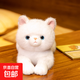 正版賽特嘟嘟可愛(ài)趴貓咪公仔兒童抱枕仿真小貓咪毛絨玩具娃娃玩偶 白色貓咪 50厘米【賽特嘟嘟正版】