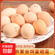果園散養富硒雞蛋無(wú)抗雞蛋可生食雞蛋50g正負5g/枚早餐生鮮買(mǎi)菜 8枚（普通裝） 富硒雞蛋
