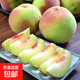 山東當(dāng)季青州蜜桃新鮮脆甜可口毛桃冬桃產(chǎn)地直發(fā)-鮮集 青州蜜桃?guī)?斤