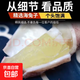 新鮮活凍魷魚仔滿籽籽烏海兔子筆管魚大烏賊燒烤海鮮精選 活凍魷魚仔 2斤(凈重)