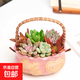 提籃多肉植物組合花束辦公桌擺件綠植盆栽創(chuàng)意桌面禮物陶瓷盆 粉色（6顆隨機多肉+土）