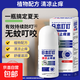 植物走珠叮叮止癢液50ml清涼止癢液舒緩蚊蟲(chóng)叮咬 走珠止癢液