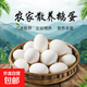 精選12枚新鮮鵝蛋孕婦農家散養土鵝蛋正宗特產(chǎn)大個(gè)生鵝蛋精品6枚 散養6枚裝【100-130克】