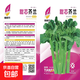 【四季播種】甜芯綠芥藍(lán)種子四季播陽臺(tái)盆栽耐熱耐寒蔬菜種子 甜芯芥藍(lán)種子 五包約3500粒