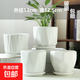盆生花道花盆陶瓷輕奢特價(jià)清倉大號帶托盤(pán)家用吊蘭多肉小花盆特大 四個(gè)中號潔白如玉