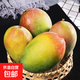 云南玉芒新鮮芒果生鮮水果 玉芒凈重2斤400克+