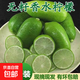 村下佬海南無(wú)籽香水檸檬新鮮現摘現發(fā)青檸檬暴打檸檬茶奶茶店推薦 海南無(wú)籽香水檸檬-單果80g 中果：5斤