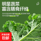 【明星蔬菜】新鮮羽衣甘藍榨汁涼拌輕食蔬菜超市品質(zhì)直播間同款 1斤凈重