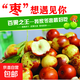 脆甜棗應(yīng)季水果山東冬棗陜西冬棗新鮮水果鮮棗大棗紅棗青棗 2斤優(yōu)選果（單果11-13克）