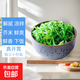 即食裙帶菜 海草絲海藻沙拉開胃涼菜海白菜 芥末裙帶菜 200g*5袋