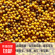 【純黃999】油菜籽黃籽顆粒榨油早熟高油率矮桿耐寒抗病抗倒伏 純黃999油菜種子 5包約750克