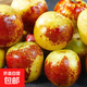 陜西大荔冬棗脆棗新鮮水果小糖丸鮮棗脆甜多汁果園直發(fā) 果王 凈重4.5斤（16g以上）