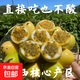 正宗廣西欽蜜9號百香果新鮮水果北城現摘香甜營(yíng)養豐富多汁鮮果 凈果3斤裝大果