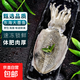 大墨魚 魚 鮮活冷凍舟山海捕東海特大目魚烏賊海鮮水產(chǎn)非墨魚仔 墨魚 2斤(凈重)