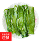 鹽漬裙帶菜新鮮特厚無沙低鹽火鍋炒菜商用批發(fā) 海白菜1包500g