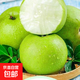 安徽正宗碭山梨青梨翠冠梨新鮮翠玉梨青皮蜜梨脆甜多汁無(wú)渣龍華 青皮梨帶箱9斤