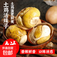即食13天活珠子五香味香辣鋼化蛋雞胚蛋喜蛋批發(fā)原味麻辣新鮮真空 40g*5枚裝 香辣