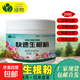 快速生根粉強(qiáng)力生根粉植物多肉樹木扦插發(fā)根強(qiáng)力助生長發(fā)根壯苗粉 快速生根粉250g*2瓶